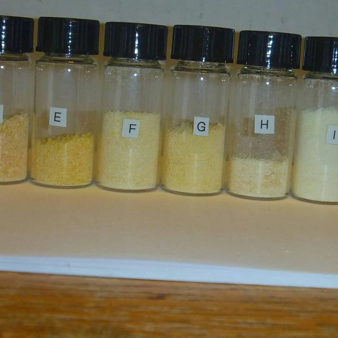 N,N-Dimethyltryptamine