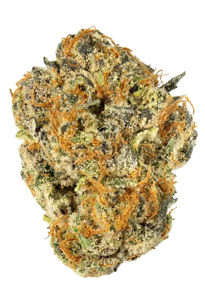 Afghan Hash (Black/Squidgy)