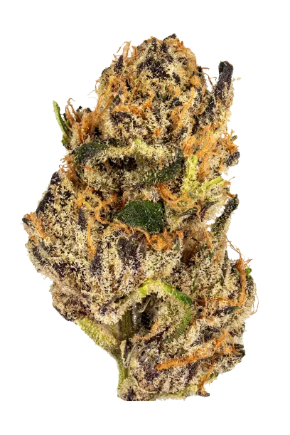 AK-48 #2