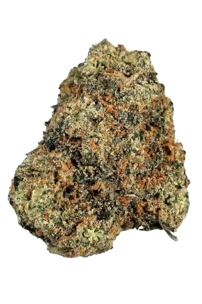 Blueberry #2