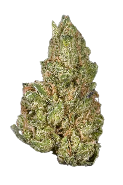 Blueberry Headband #2