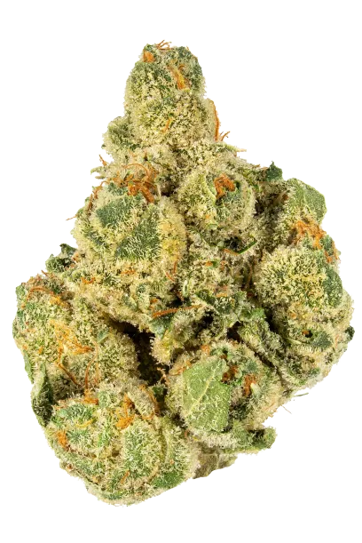 Cereal Milk - Top Shelf Flower