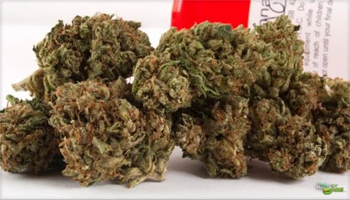 Diablo OG Kush Strain online