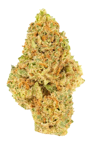 Frozen Grapez (Purple)