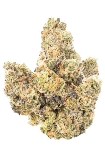 Girl Scout Cookies #2