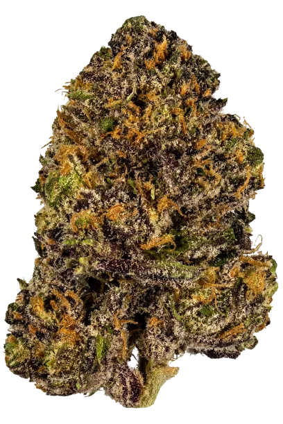 Granddaddy Purple #3