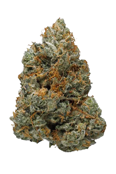 Jelly Donuts - Dessert Series