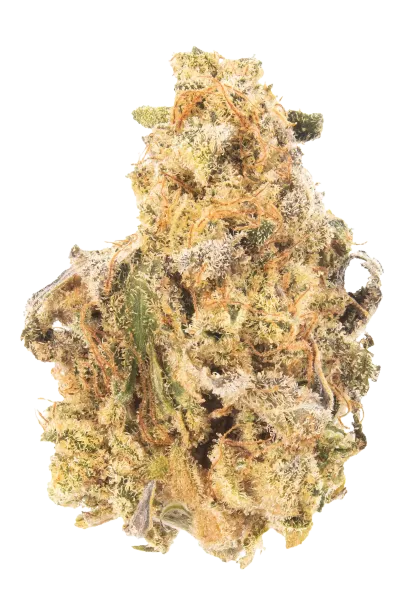 Permanent Marker (Seed Junky Cut)